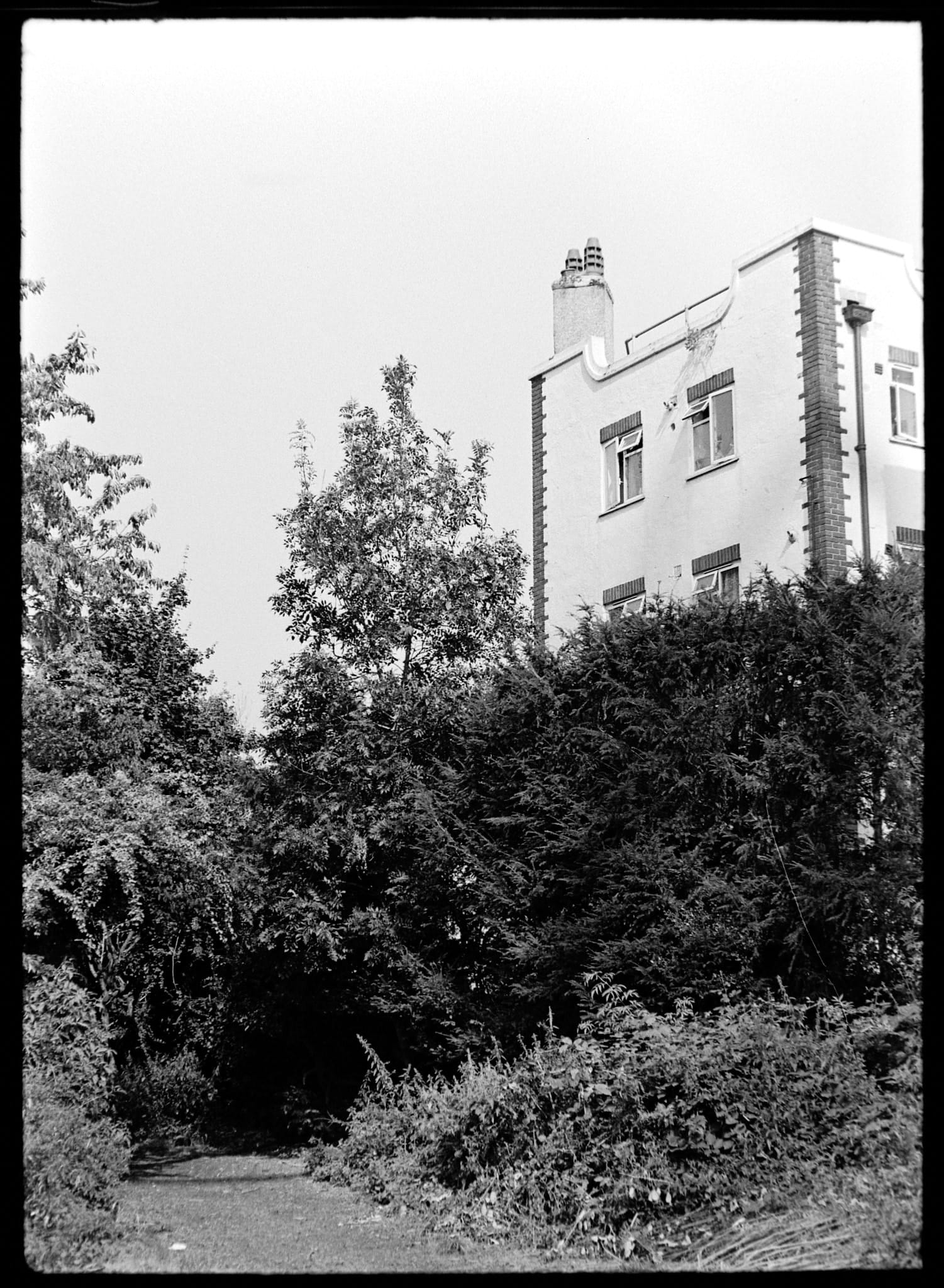 A digital scan of a black-and-white film negative of a dark path covered with trees with a tall white building looming behind it.